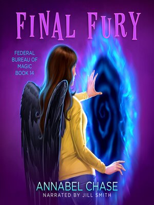 cover image of Final Fury